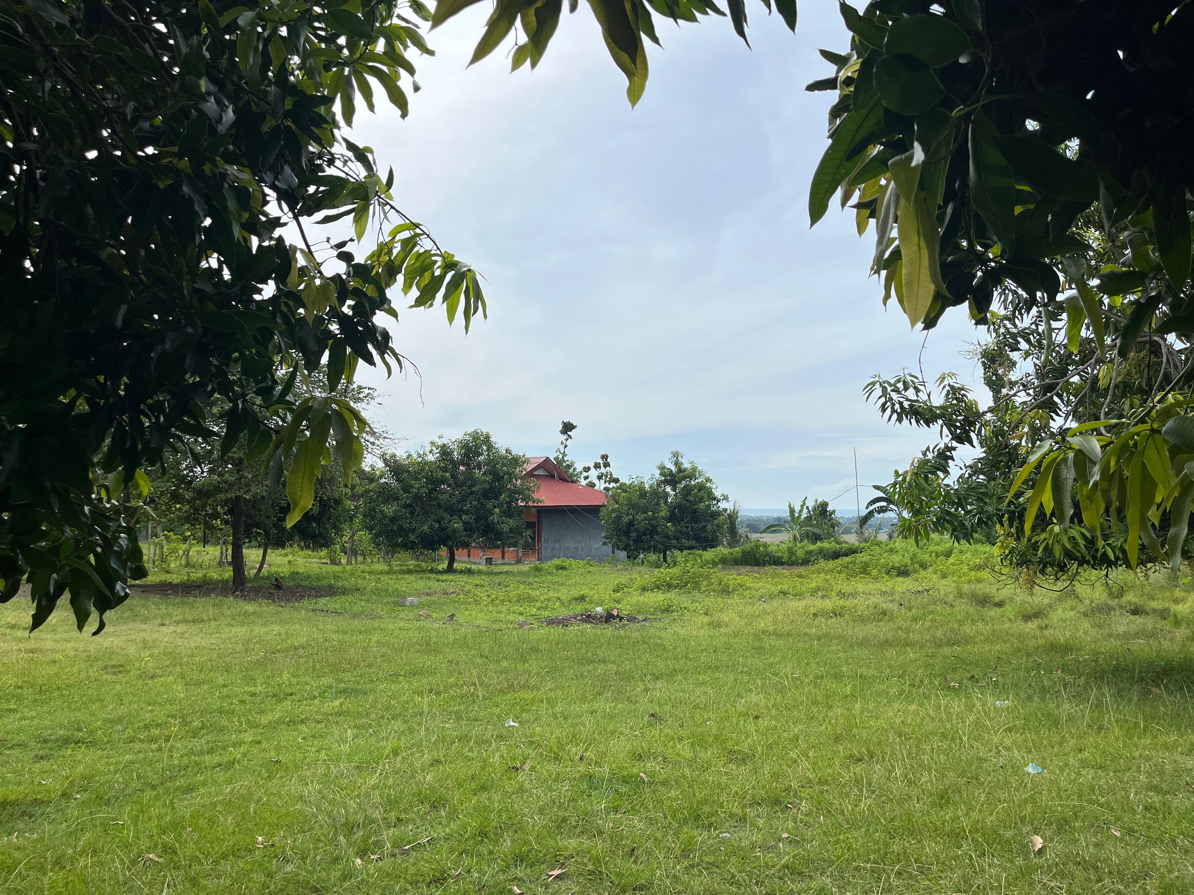 Galeri Sekolah